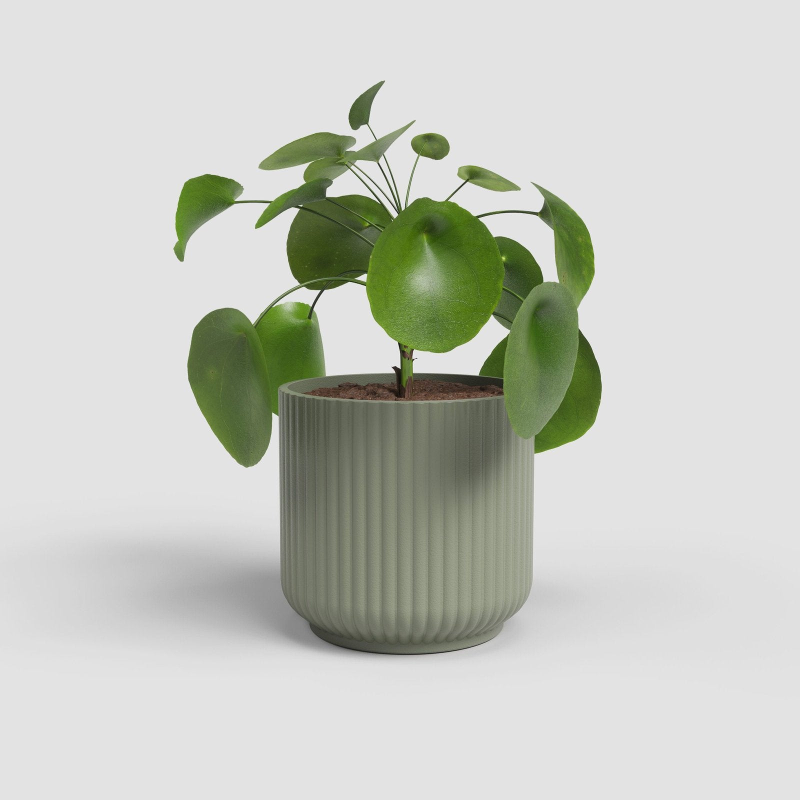 Luna keramische bloempot Groen - Succulux