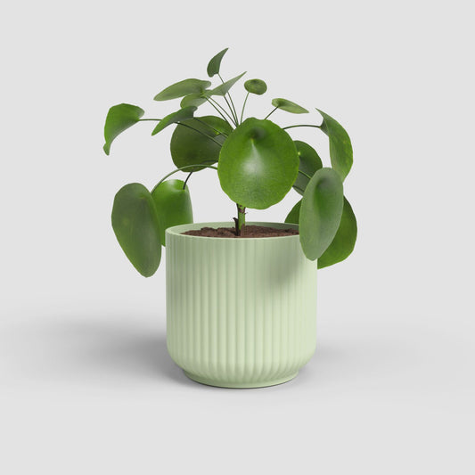 Luna keramische bloempot Light Green - Succulux