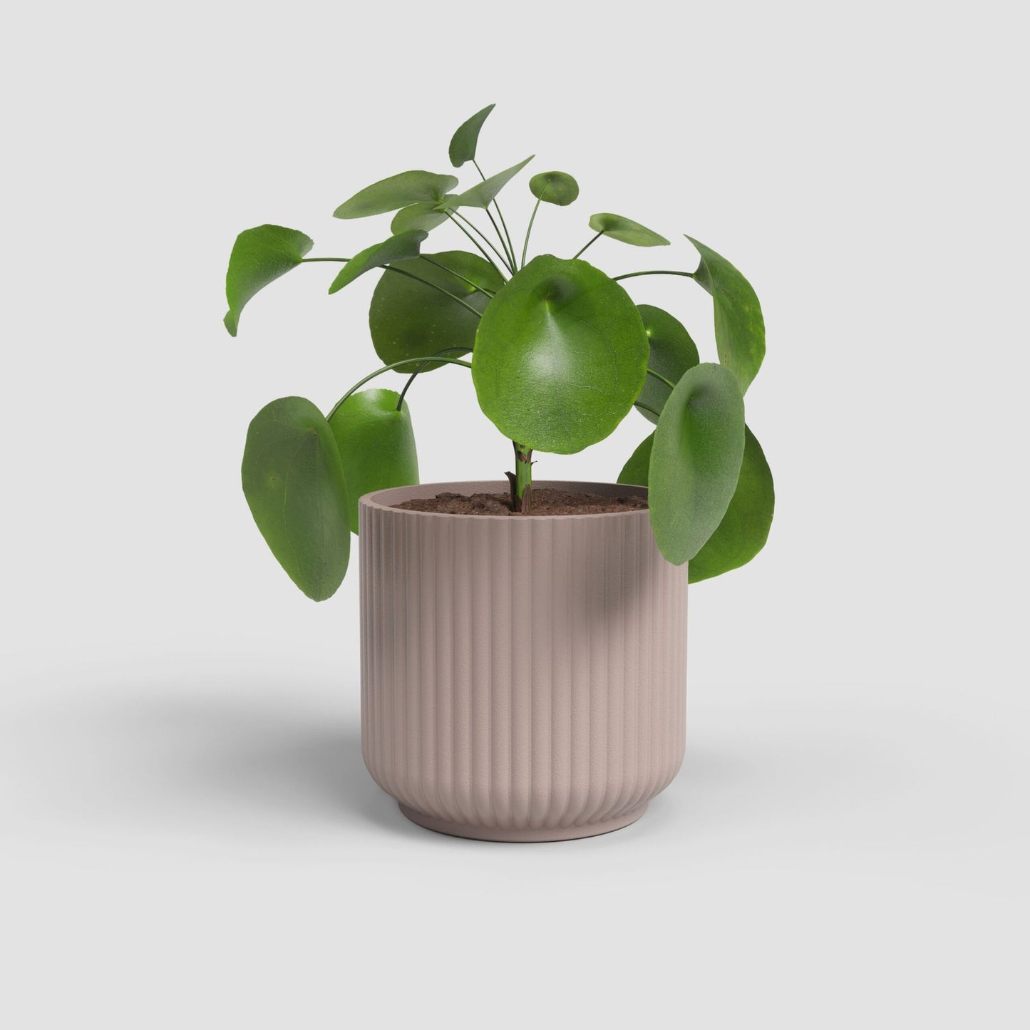 Luna keramische bloempot Pink - Succulux