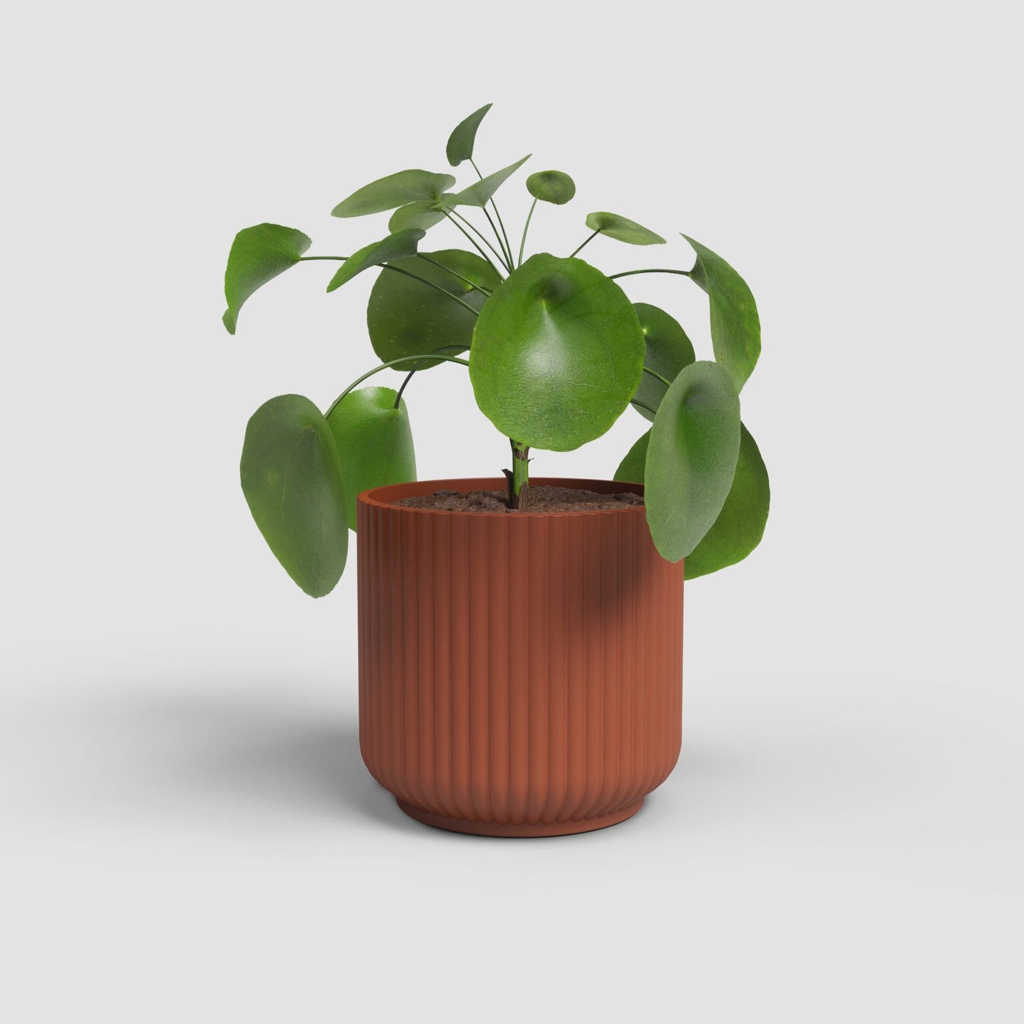 Luna keramische bloempot Terracotta - Succulux