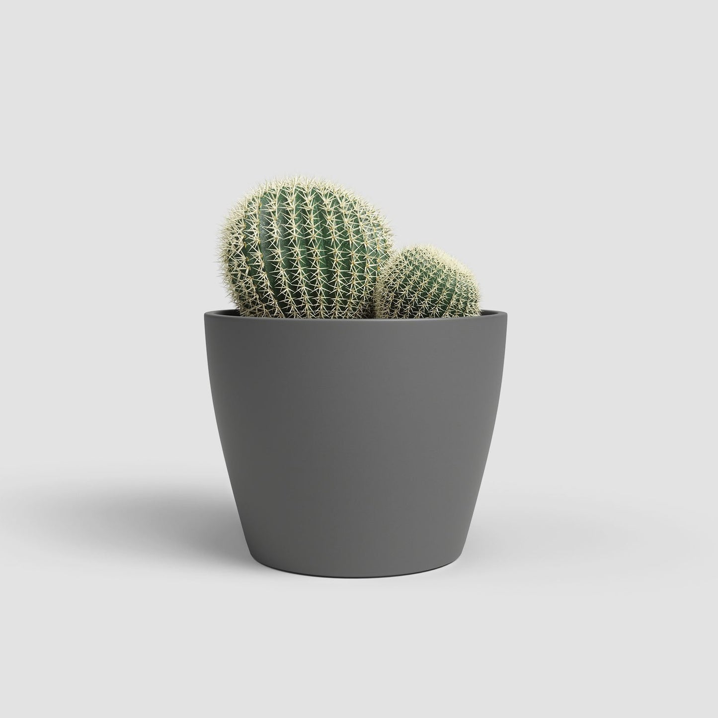Nubia keramische bloempot Anthracite - Succulux
