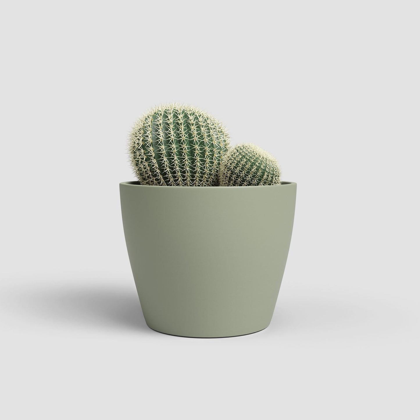 Nubia keramische bloempot Groen - Succulux