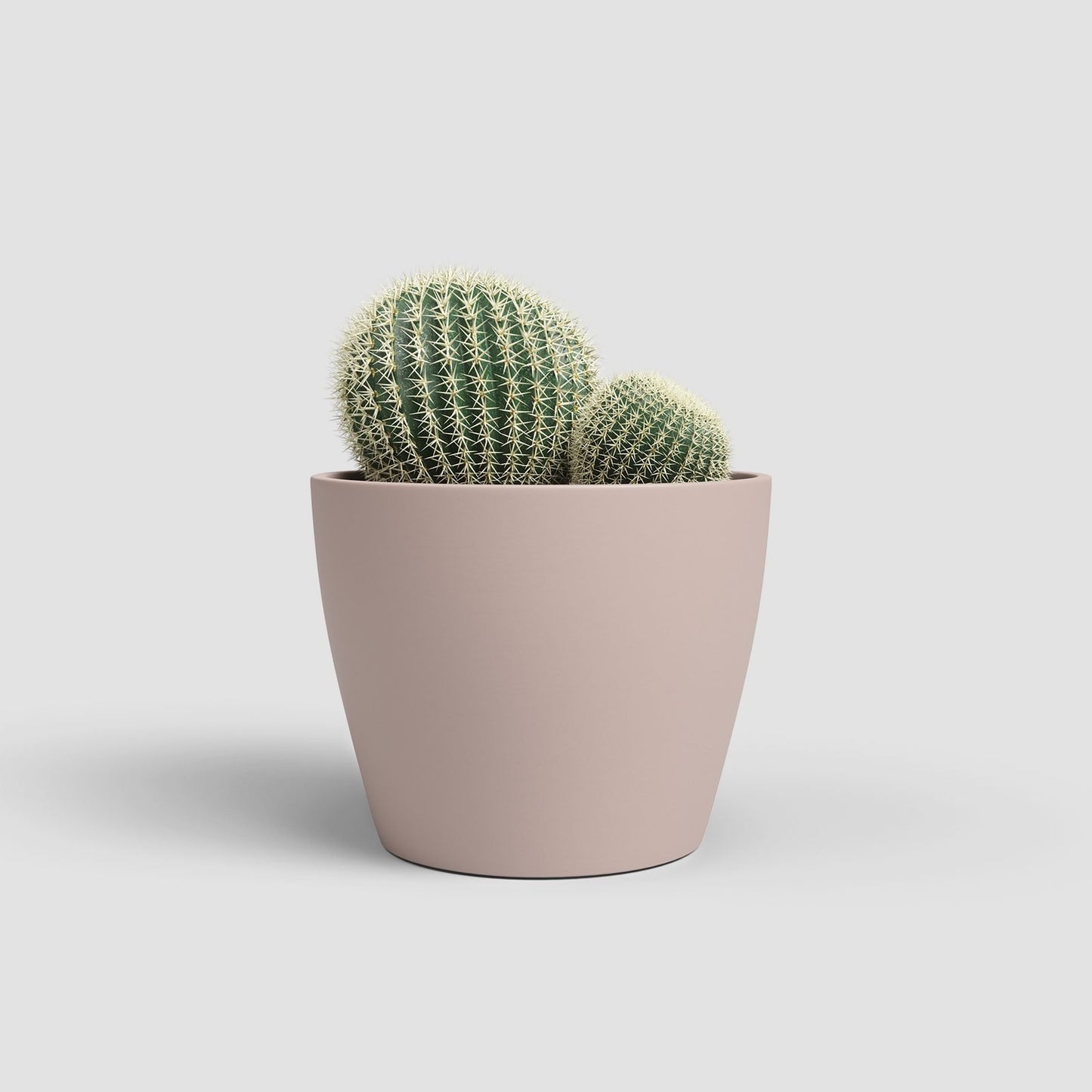 Nubia keramische bloempot Pink - Succulux