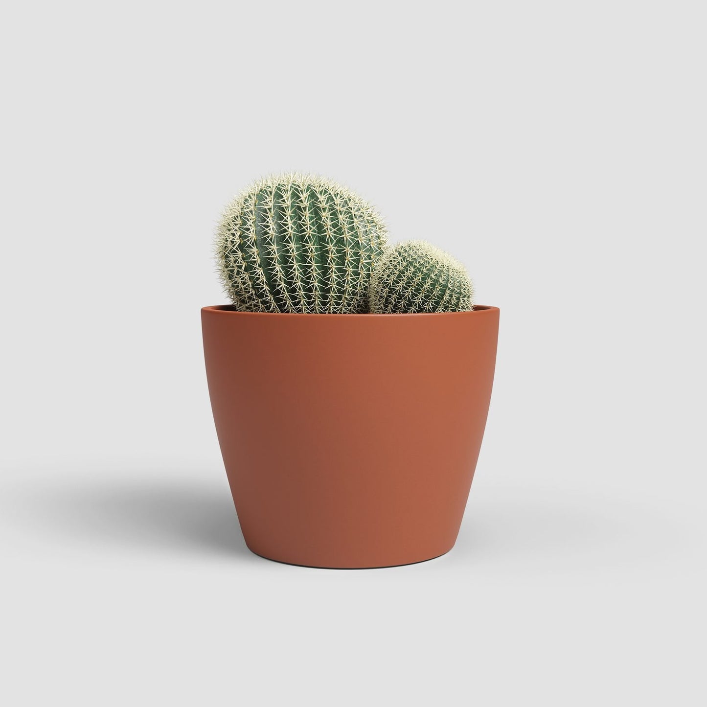 Nubia keramische bloempot Terracotta - Succulux