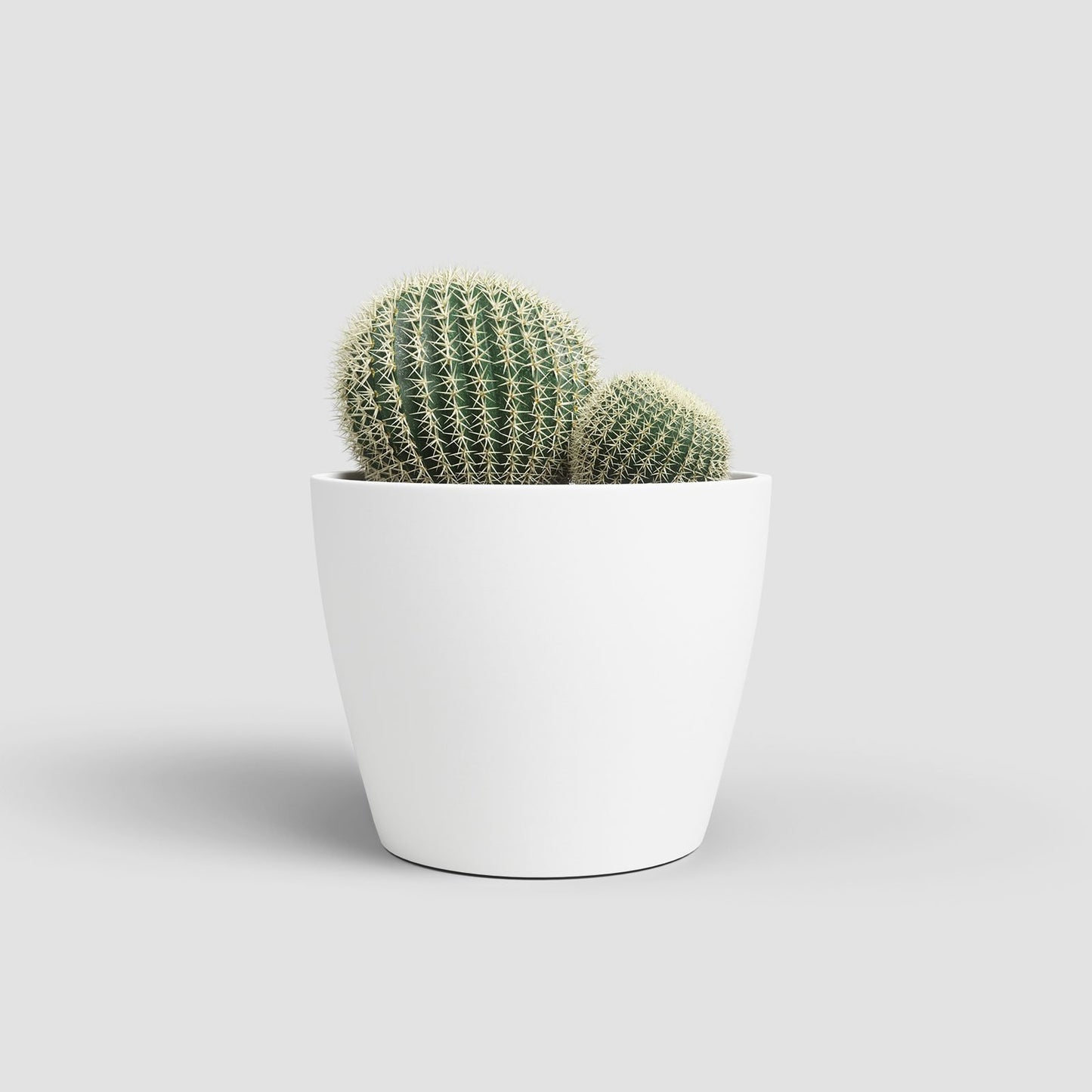 Nubia keramische bloempot Wit - Succulux