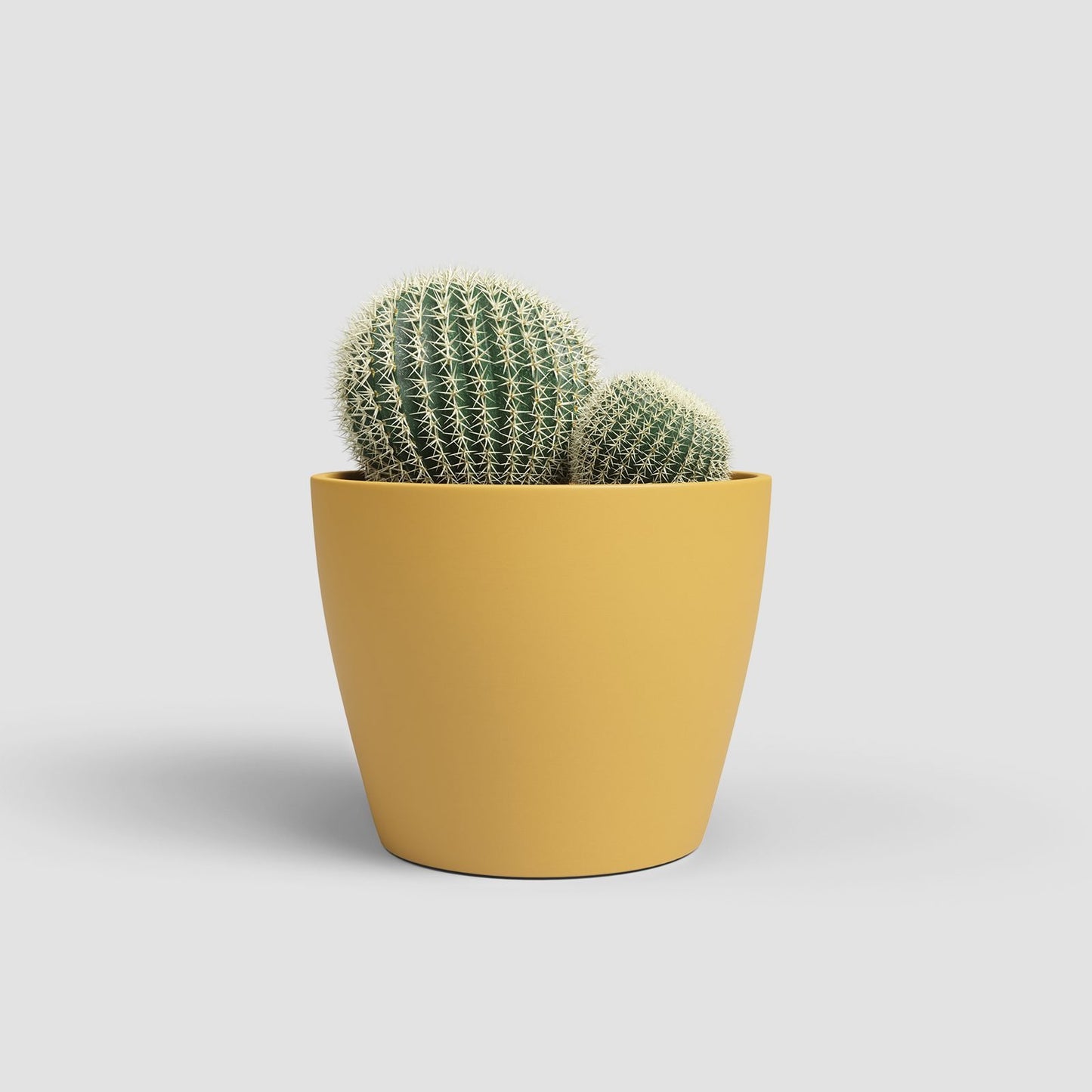 Nubia keramische bloempot Yellow - Succulux
