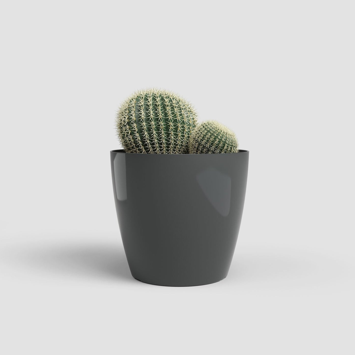 San Remo kunststofpot anthracite - Succulux