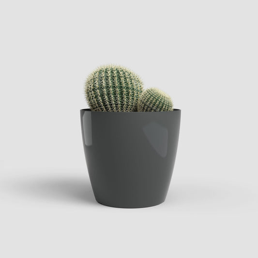 San Remo kunststofpot anthracite - Succulux