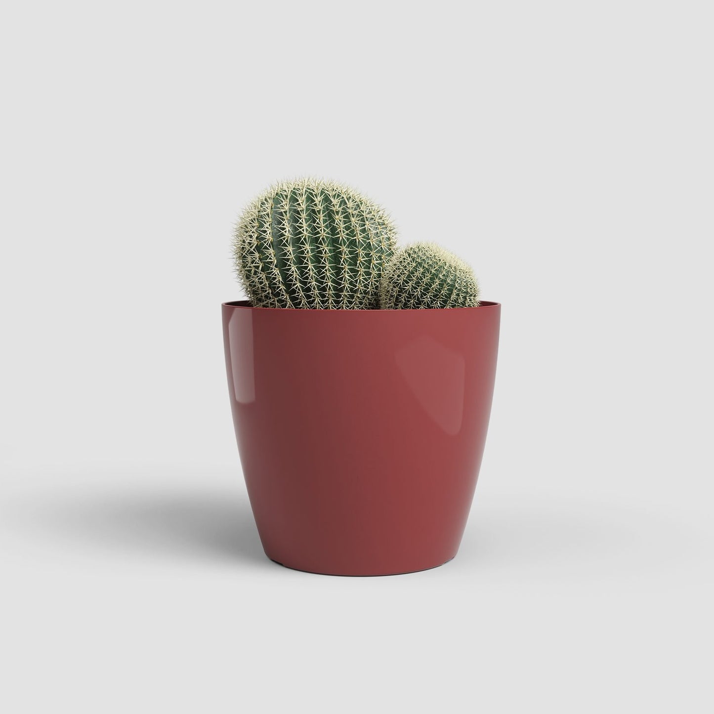 San Remo kunststofpot rouge fonce - Succulux