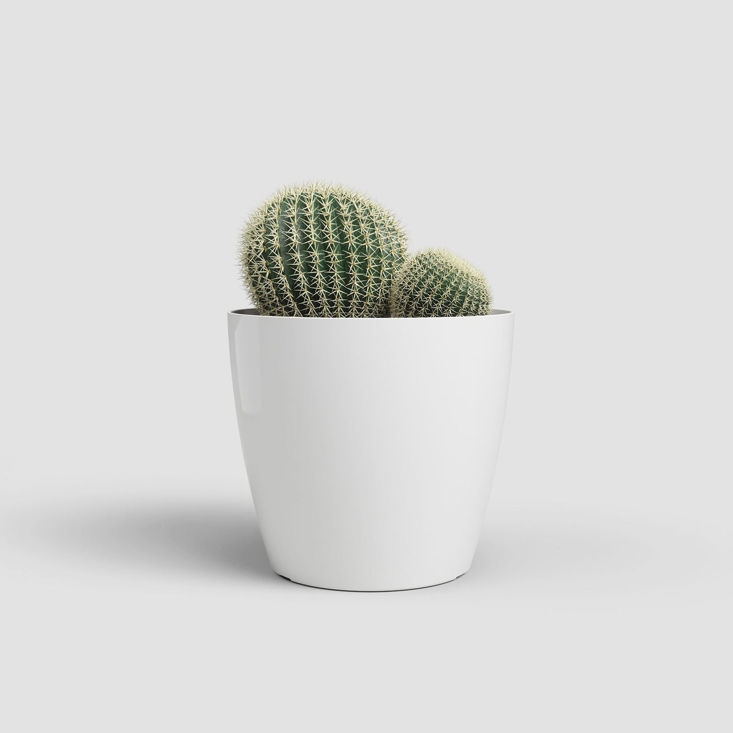 San Remo kunststofpot wit - Succulux