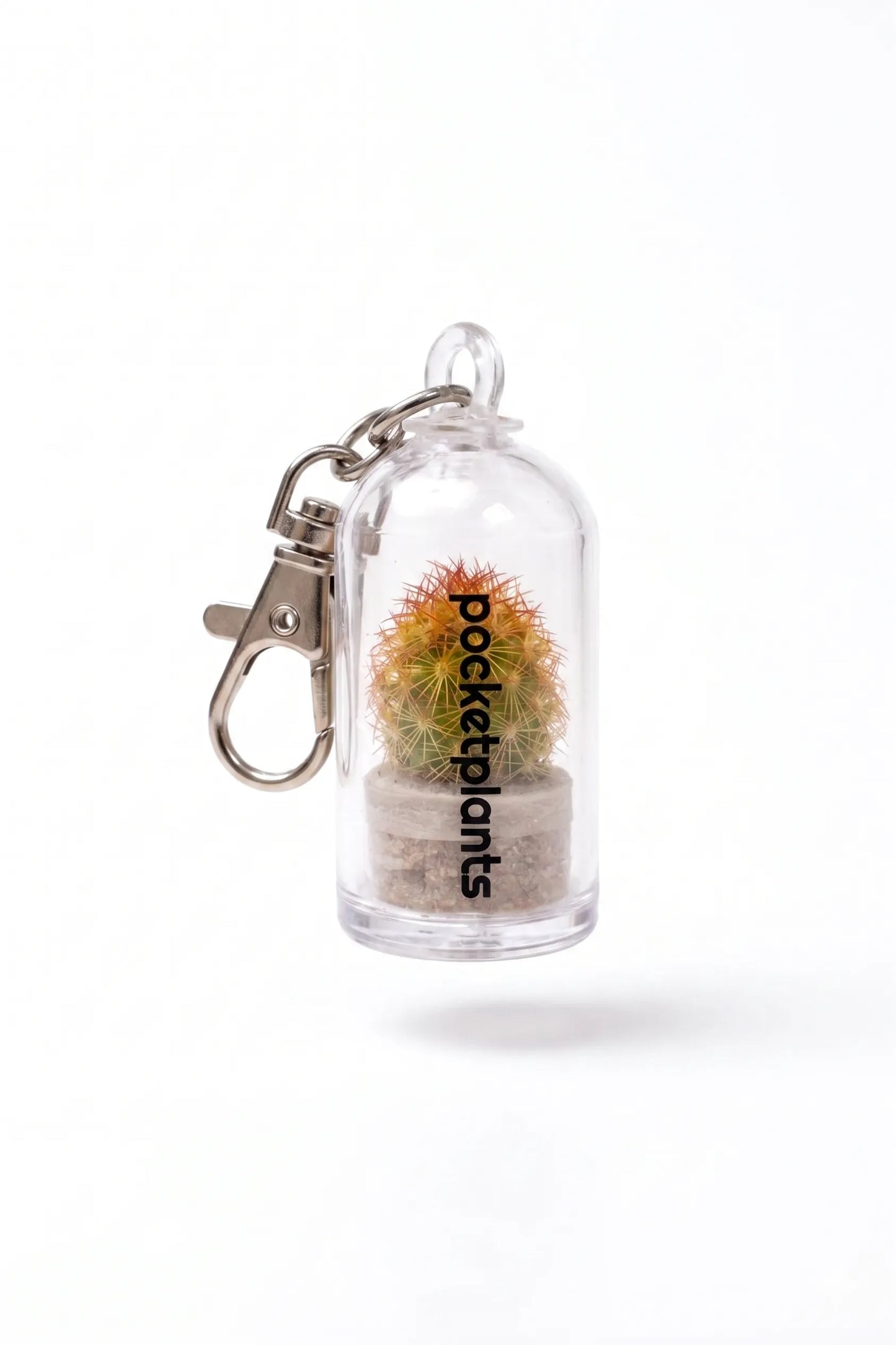 Sleutelhanger met levend plantje - Succulux