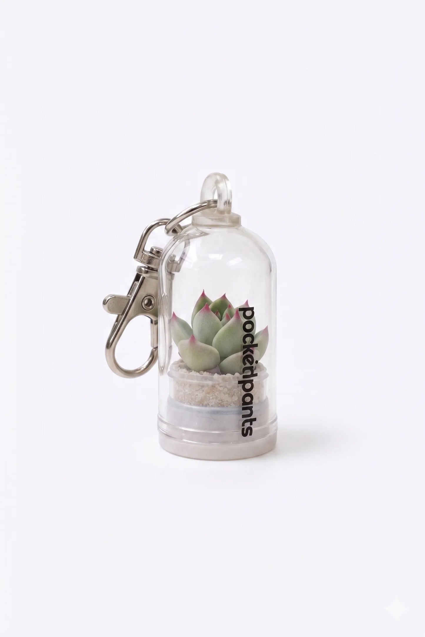Sleutelhanger met levende succulent - Succulux